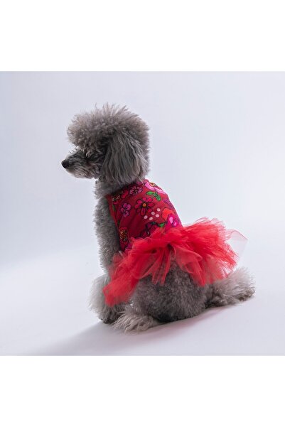 Pawstar Red Wildflowers Red Floral Pattern Cat Dog Dress - Cat Dog Outfit
