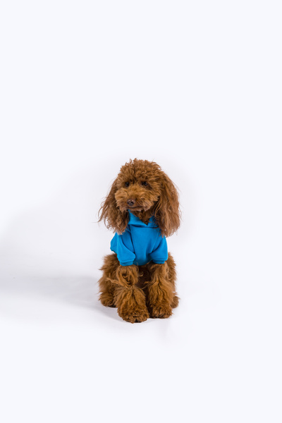 Maura Köpek Hoodie