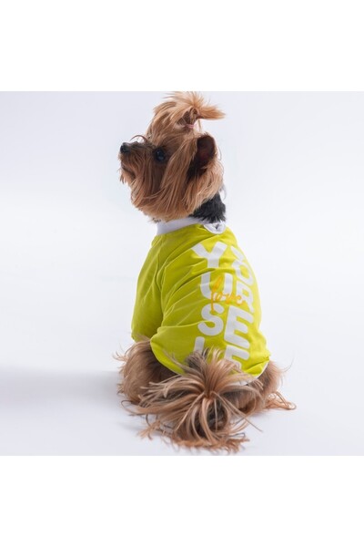 Pawstar Yellow Yourself Love Sweat Cat Dog Sweati - Cat Dog Outfit