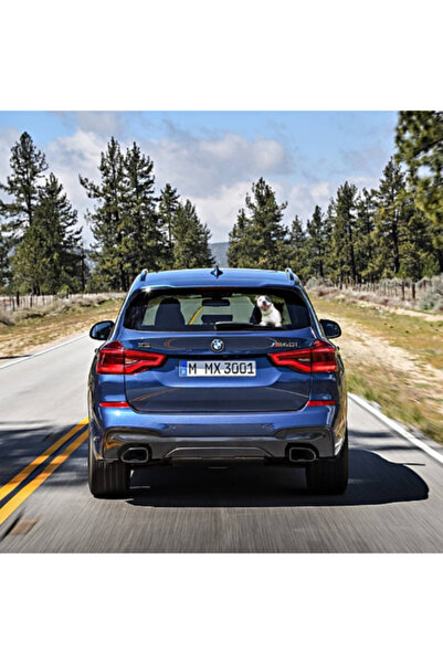 ORIGINAL DEALS Διακοσμητικό Αυτοκόλλητο Σκύλου με Φυλογραφία για Παράθυρα Αυτ...