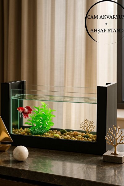 Reyo OK-AY Store Beta Balığı İçin Ahşap Mini Akvaryum Modern Doğal Minimal Ta...