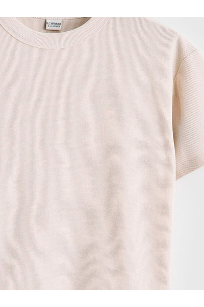 LC Waikiki Beige Crew Neck Boy's T-Shirt