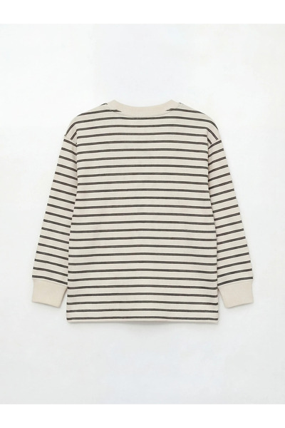 LC Waikiki Καφέ ριγέ μακρυμάνικο μπλουζάκι για αγόρια