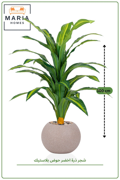 MARIA HOMES Artificial Dracaena Plant 100 CM with Modern Plastic Pot Indoor D...