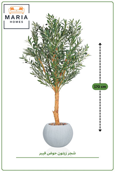 MARIA HOMES Artificial Olive Tree 170 cm in Fiber Pot – Realistic Indoor Deco...
