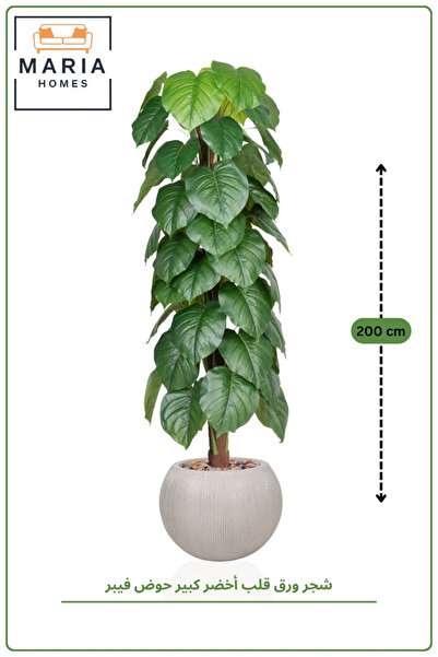 MARIA HOMES Artificial Heart Leaf Tree with with Pot – 195 cm Tall Indoor Dec...