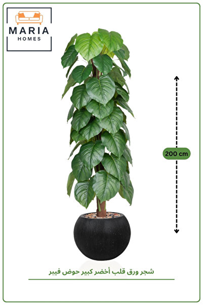 MARIA HOMES Artificial Heart Leaf Tree with with Pot – 195 cm Tall Indoor Dec...