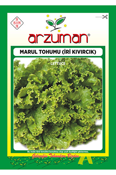 Acur Tohumu 10 Gr.