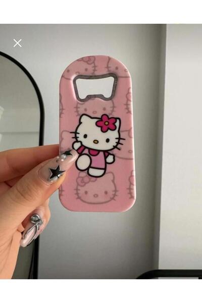 deryora Sanrio karakterleri (hello kitty,kuromi,Cinnamoroll)magnetli kapak aç...