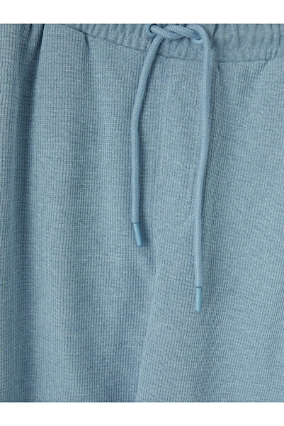 LC Waikiki Ανδρικό σορτς μπλε Standard Fit
