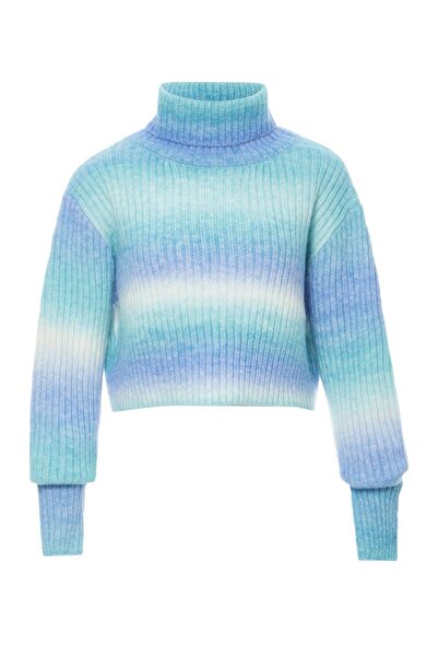 CALEY Rollkragenpullover