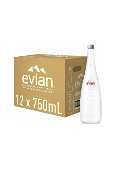Evian زجاجة ستيل 750 مل × 12 قطعة
