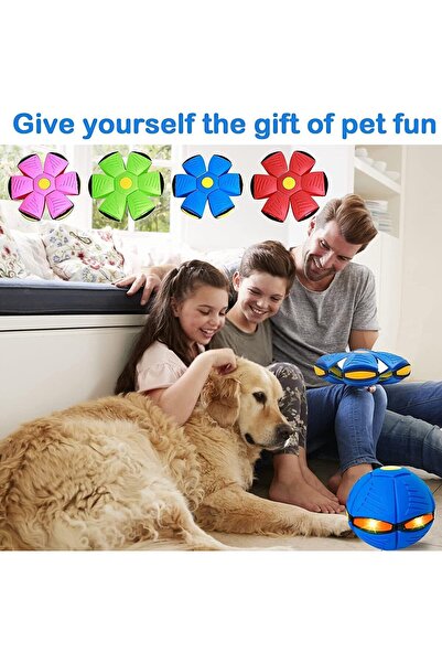 Arabest 4-Piece Flying Saucer Ball Dog Toy,Portable Glowing Magic UFO for Out...