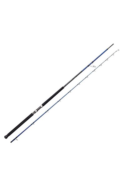 Genel Markalar SGS6 Shore Jigging 10/3.05m 60-150 gr 2 Parça