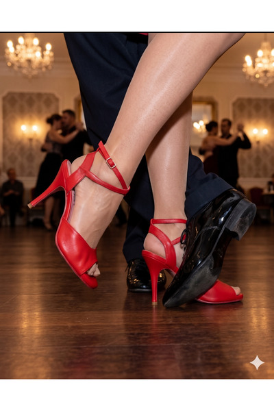 bitangosu "Tango Fire" Tango, Dance and Ballroom Shoes 8.5 cm 13 Pont Butterf...