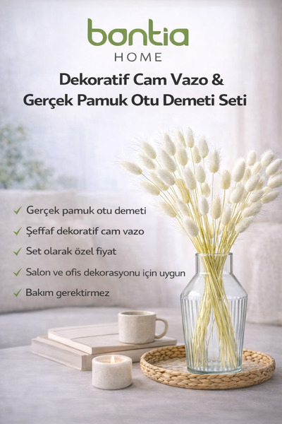 Bontia Cam Vazo + Gerçek Pamuk Otu – Gerçek Pamuk Otu Demeti ile Hazır Dekor