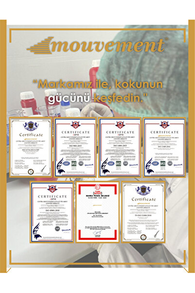 MOUVEMENT 160 Adet - Kolonyalı Islak Mendil - Karışık Platinium Paket