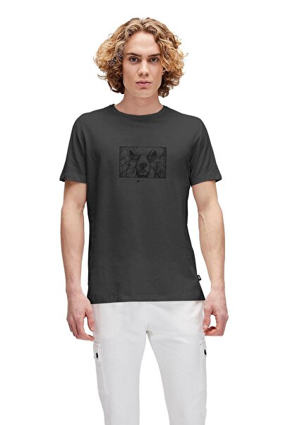 Bad Bear Wall bear anthracite men's Printed t-shirt