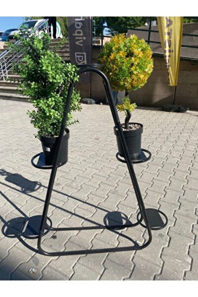 ASVERA Lüx 5li Çiçeklik