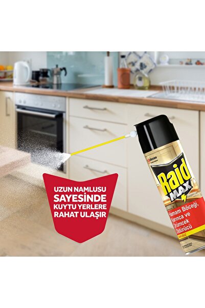 Raid Hamam Böceği Yemi 6'lı ve Böcek Öldürücü Sprey 300 ml
