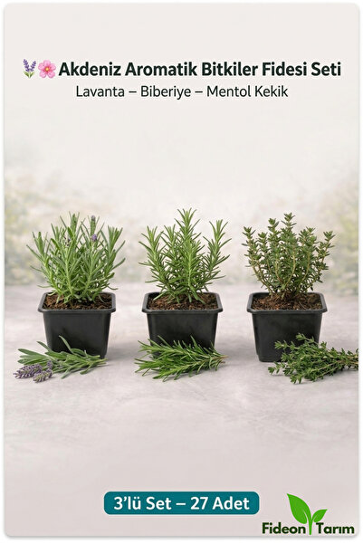 Fideon Akdeniz Aromatik Bitkiler Fidesi | Lavanta – Biberiye – Kekik | 3’lü S...
