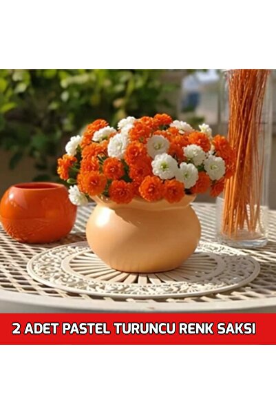 E.M.S AVM 2 ADET PASTEL TURUNCU RENK MENEKŞE SAKSISI SUKULENT SAKSISI MUMLUK ...