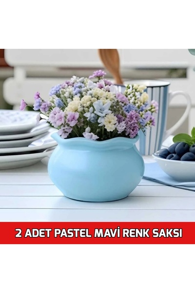 E.M.S AVM 2 ADET PASTEL MAVİ RENK MENEKŞE SAKSISI SUKULENT SAKSISI MUMLUK KIV...