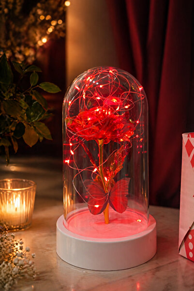 etxShop Sevgililer Günü İçerisinde Peri Led Işıklı Kelebek Buketi Çiçek Solma...