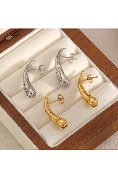 Missa Steel Anti-Tarnish Stone Design Women's Earrings