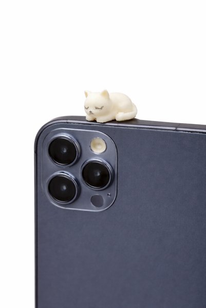 CharmFancy 2'Li 1:50 Ölçek Uyuyan Kedi Minyatür Telefon Süsü Diorama Dollhouse Figür Obje Aksesuar Teraryum