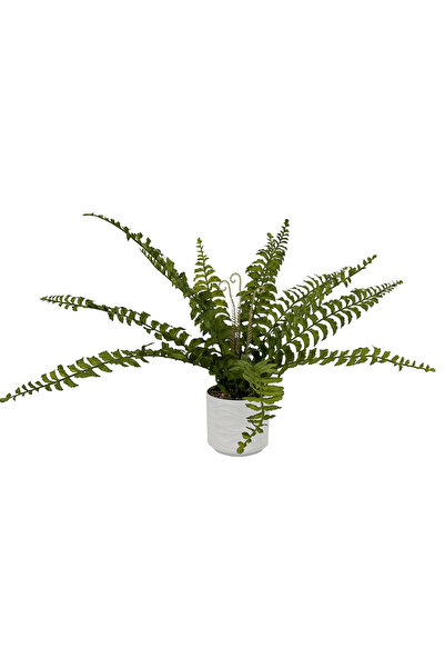 MirageBotanics 55cm Artificial Ferns tree Faux Plant with White Pot for Indoo...