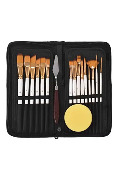 ZCM-HAPPY Premium 15-Piece Artist Paint Brush Set with Sponge Gold White Mult...