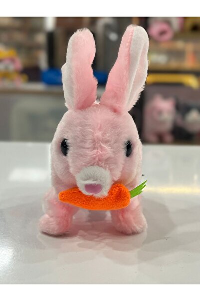 Slime Zıp Zıp Hareketli Havuçlu Sevimli Pelüş Tavşan Oyun Arkadaşı - Pembe