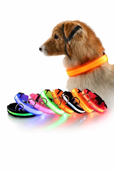 LED Işıklı Köpek Boyun Tasması Gece Görüşlü Ayarlanabilir Gezdirme Tasması