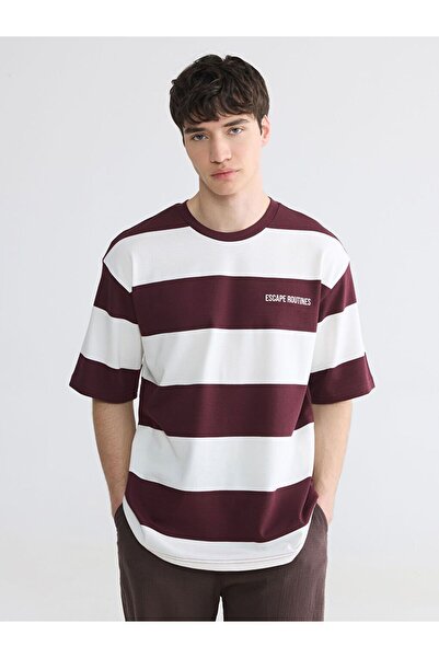 LC Waikiki Xside Crew Neck Striped Men's T-Shirt