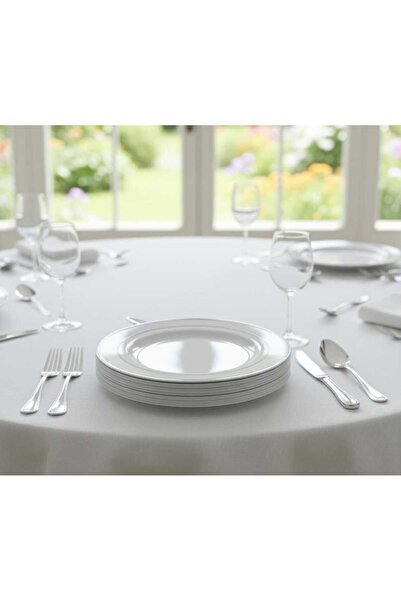 Rosymoment 7.5" Disposable Plastic Plates – Silver Round Border, 24 g, Set of 10