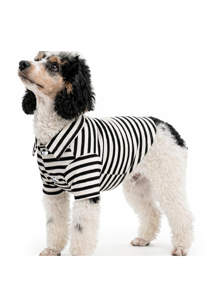 Buddy Store Gömlek - Crinkle Collection Çizgili