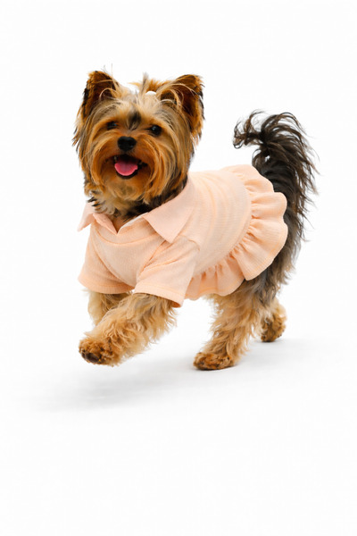 Buddy Store Crinkle Collection – Yavru Ağzı Yazlık Elbise (Premium)
