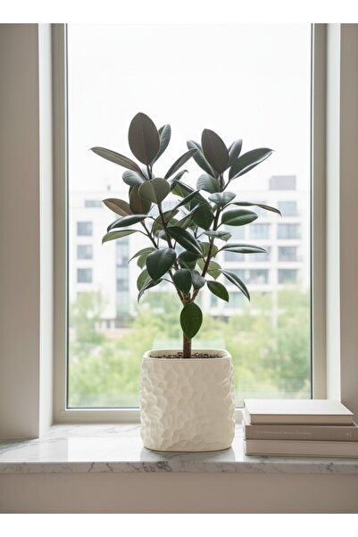 triora LastRock Model: Modern Ev Dekorasyon Saksı 15cm yükseklik x 17,5cm gen...