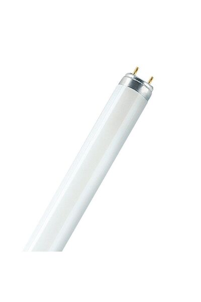 şavk 2 ADET SİNEK LAMBASI 18W BL 60CM