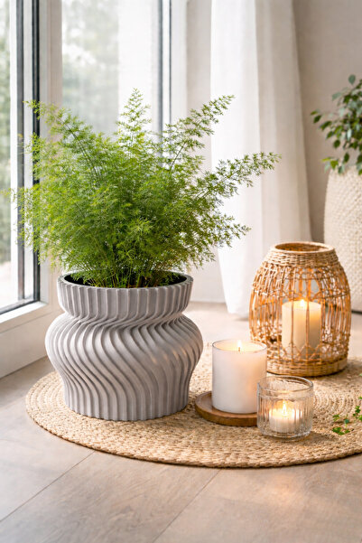 triora Curve Saksı : Modern Ev Dekorasyon Saksı 13cm yükseklik x 17,5cm geniş...