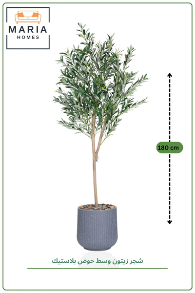 MARIA HOMES Artificial Olive Tree 180cm in Plastic Pot for Home and Office De...