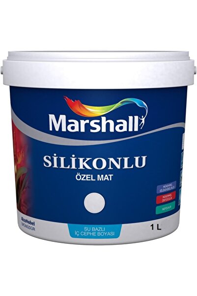 AyrStore Fuşya Çiçeği Silikonlu Özel Mat Duvar Boyası