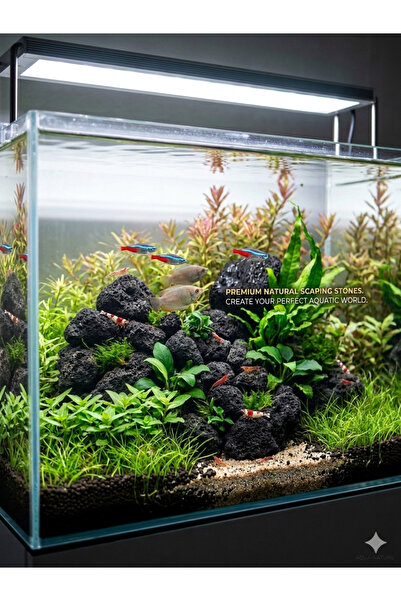 ECD Doğaltaş Siyah Lava Kayası 5 adet 5-9 cm Doğaltaş Akvaryum Süsü Bahçe Dekoru