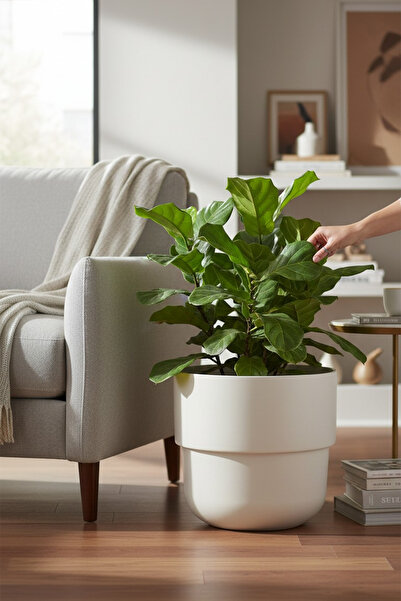 TEMMUZ HOME Kuple Premium Serisi 26 Lt Modern Tasarım Saksı - Salon ve Balkon Tipi Büyük Boy Saksı(Kirli Beyaz)