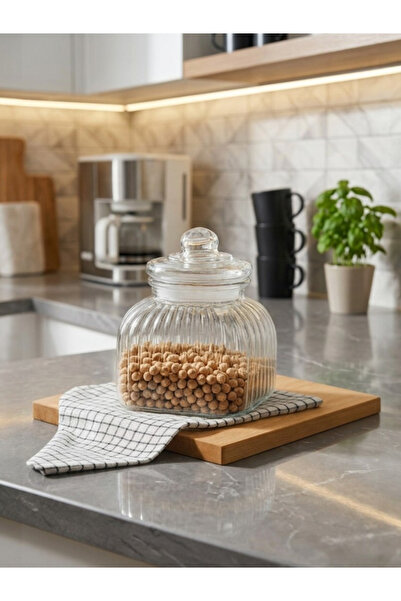 Padilon Vacuum Sealed Glass Storage Container with Lid 2.5 Lt Airtight Large ...