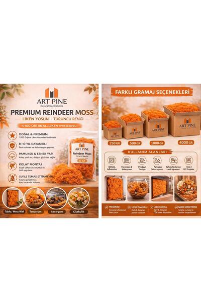 ART PINE Κορυφαίας ποιότητας Διατηρημένο Πορτοκαλί Χρώμα Βρύα Τάρανδου - Βρύα...