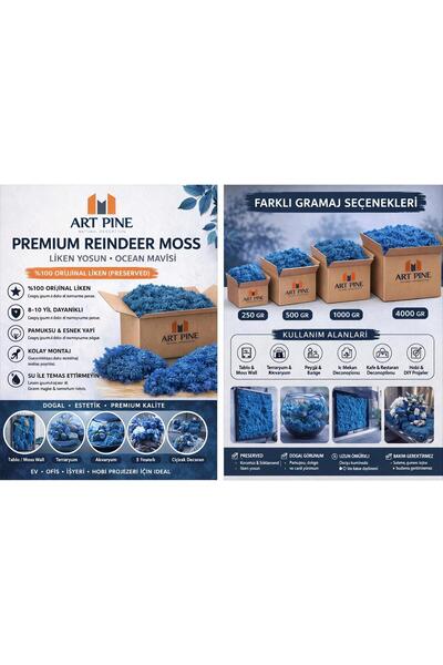 ART PINE Εξαιρετικής ποιότητας Διατηρημένο Μπλε Χρώμα Βρύα Τάρανδου - Βρύα Λί...