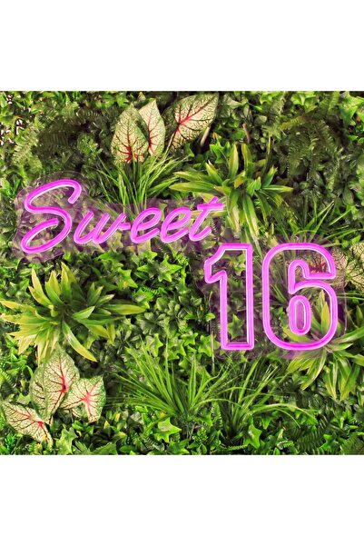 Slasa Sweet 16 LED Neon Sign 30x45 cm Pink Light 6mm Acrylic Base Birthday Pa...