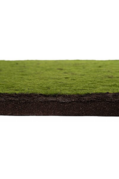 Roberto Rossi Planta artificiala Covor de muschi 50x50x5 cm